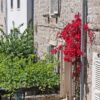 Ston - photo 24