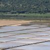 Ston - photo 7