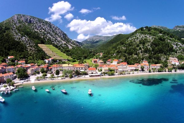 Trstenik