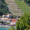 Trstenik - photo 12
