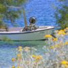 Trstenik - photo 14