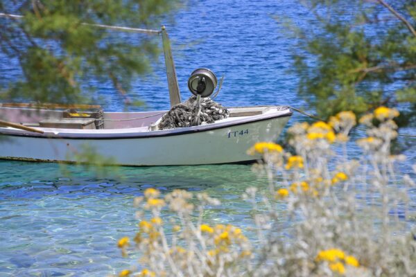 Trstenik - photo 14