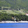 Trstenik - photo 17