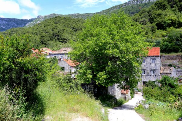 Trstenik - photo 18