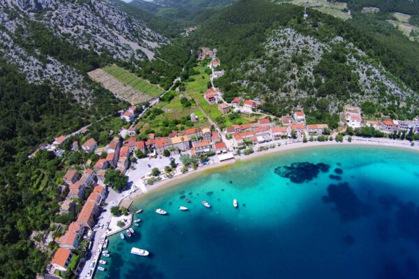 Trstenik - photo 2