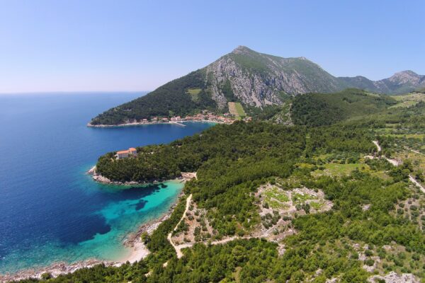 Trstenik - photo 3