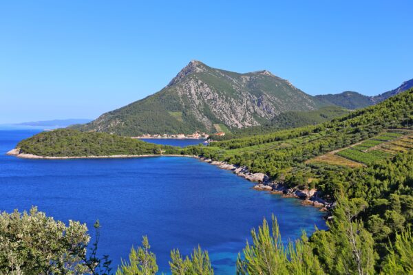 Trstenik - photo 4
