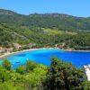 Trstenik - photo 5