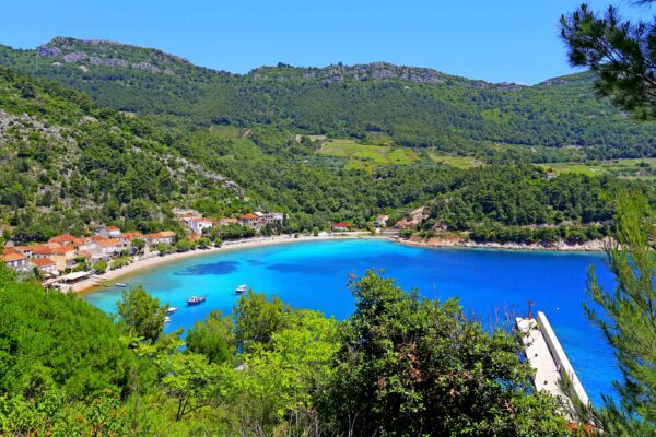 Trstenik - photo 5