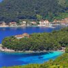 Trstenik - photo 6