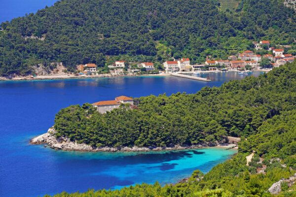 Trstenik - photo 6