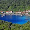 Trstenik - photo 7