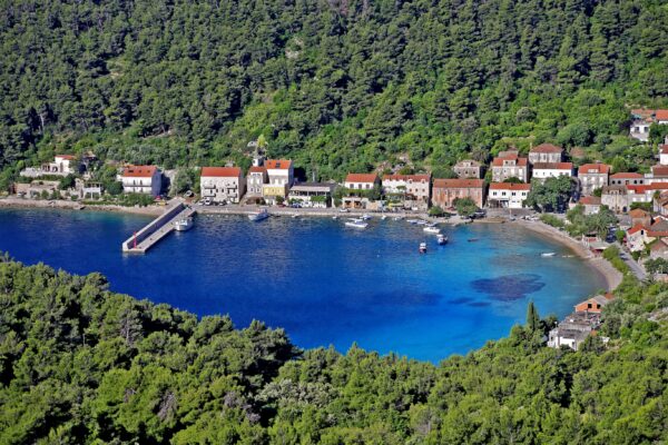 Trstenik - photo 7