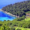 Trstenik - photo 8
