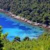 Trstenik - photo 9