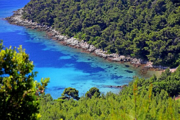 Trstenik - photo 9