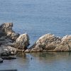 Velika Prapratna - photo 7