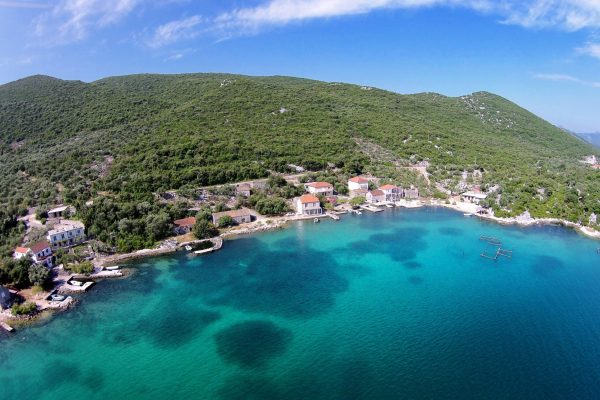 Žuronja