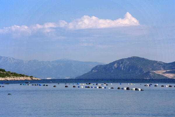 Žuronja - photo 11