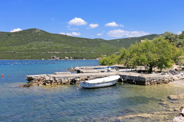 Žuronja - photo 13