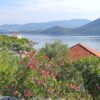 Žuronja - photo 17
