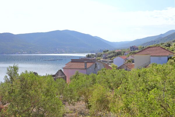 Žuronja - photo 18