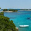 Bilo - photo 11