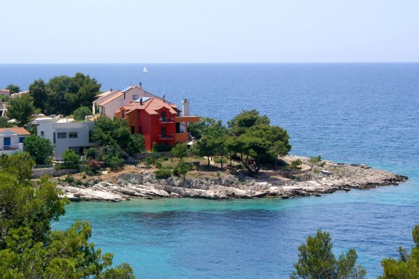 Bilo - photo 7
