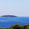 Bilo - photo 8
