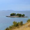 Bilo - photo 9