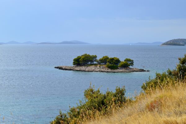 Bilo - photo 9