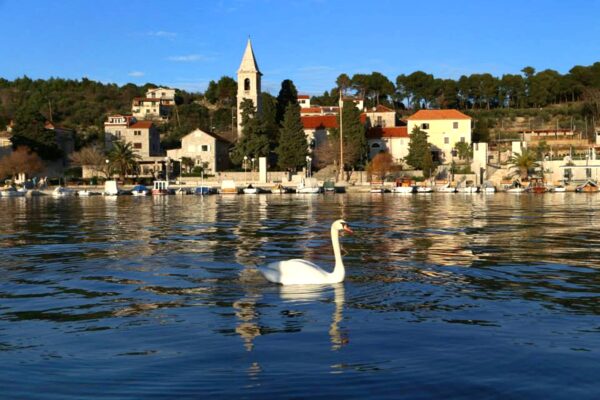 Prvić Luka - photo 2