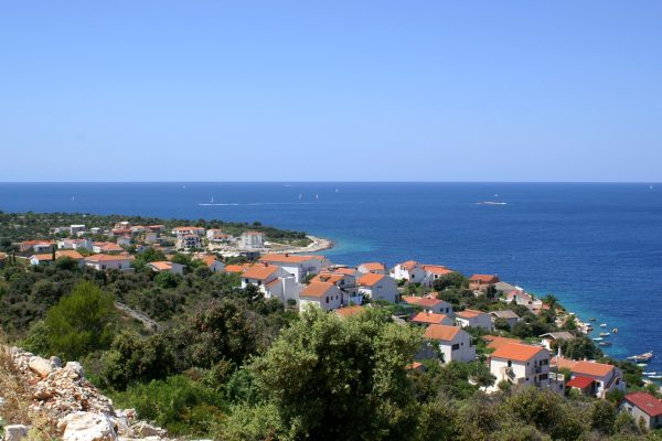 Kanica - photo 3