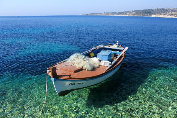 Kanica - photo 4
