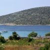 Kanica - photo 7