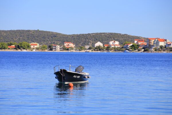 Oštrička luka - photo 4