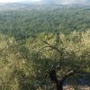Sapina Doca - photo 2