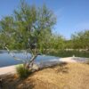 Jadrtovac - photo 8