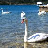 Pirovac - photo 13