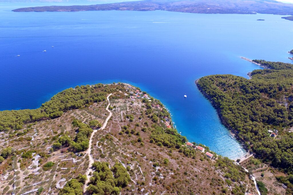 Dalmatia Solta Gornja Krusica Croatia
