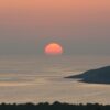 Maslinica - photo 11