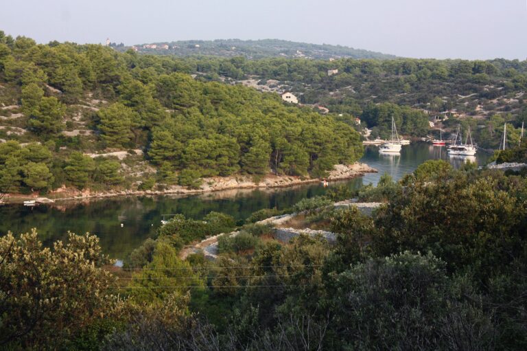 Piškera