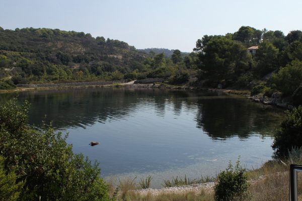 Piškera - photo 7