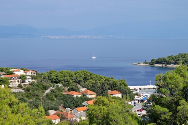 Rogač
