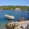 Rogač - photo 11
