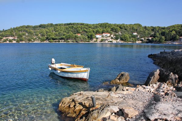 Rogač - photo 11