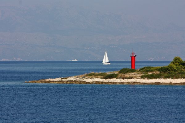Rogač - photo 13