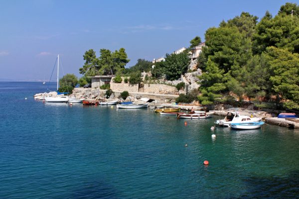 Rogač - photo 14