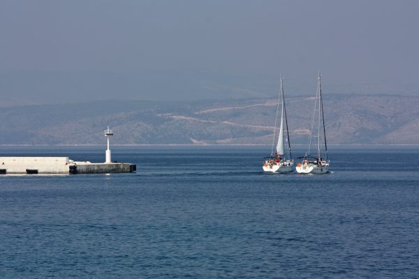 Rogač - photo 15
