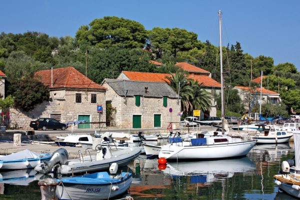 Rogač - photo 2
